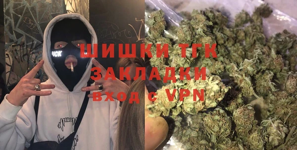 мет Бородино