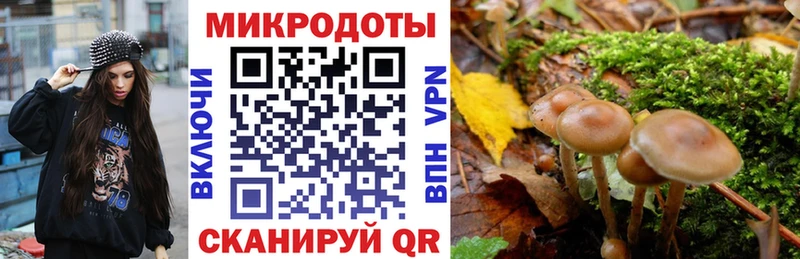 где купить наркоту  Серпухов  mega как зайти  Галлюциногенные грибы GOLDEN TEACHER 